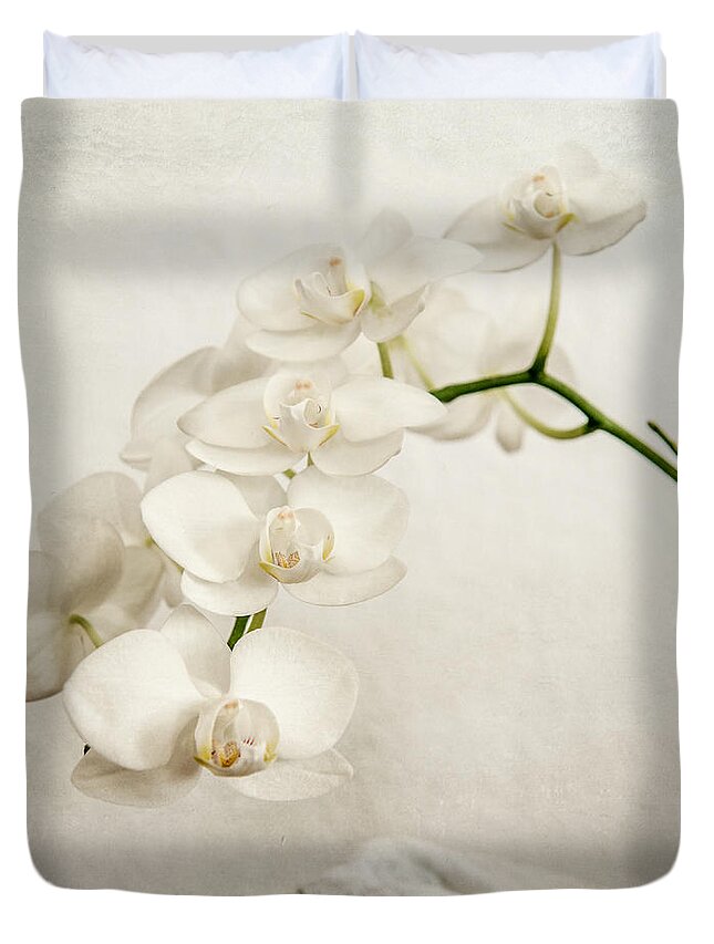 1x1 Duvet Cover featuring the photograph Beautiful white orchid II by Hannes Cmarits