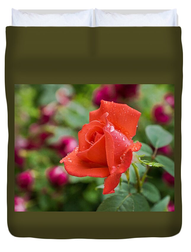 Red Duvet Cover featuring the photograph Beauty in Red by Bill Pevlor