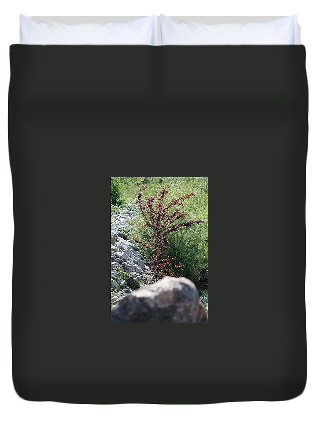 Albero Duvet Cover featuring the photograph Beauty is Everywhere by Donato Iannuzzi