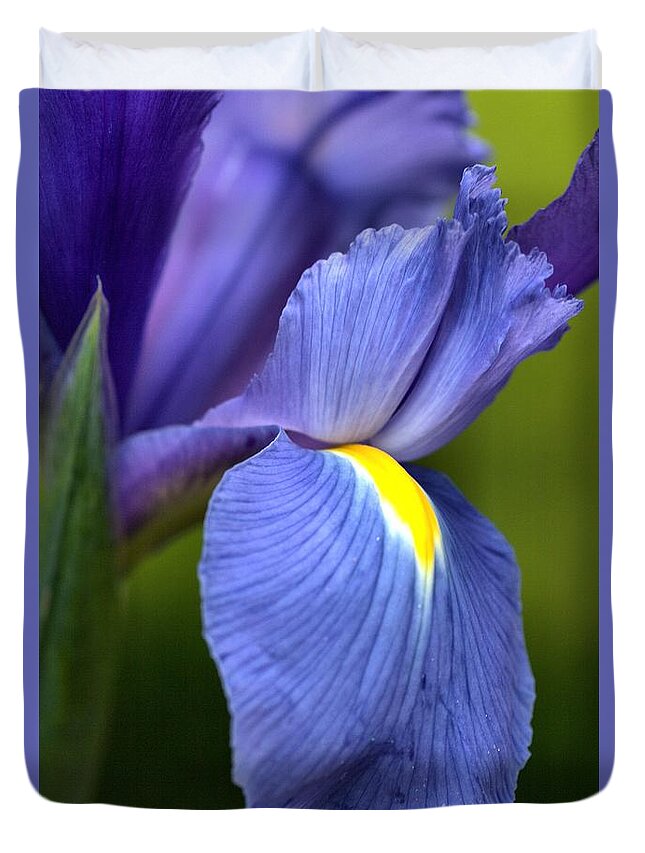 Iridaceae Duvet Cover featuring the photograph Beauty of Iris by Joy Watson