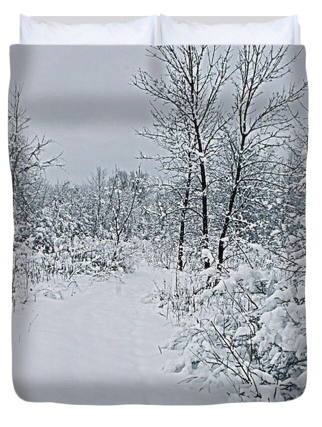Winter Duvet Cover featuring the photograph Beauty Of Winter by Kay Novy