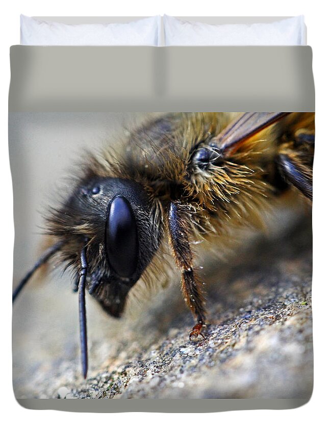 Insects Duvet Cover featuring the photograph Bee Careful by Jennifer Robin