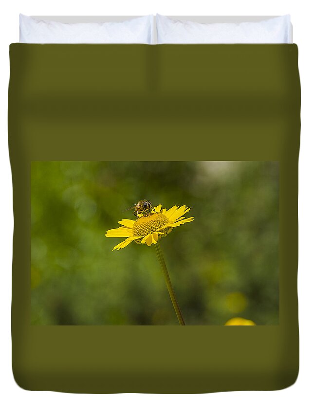 Insect Duvet Cover featuring the photograph Bee on flower by Paulo Goncalves