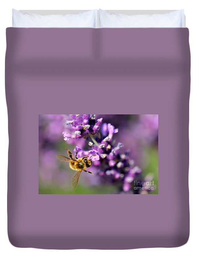 Bee Duvet Cover featuring the photograph Bee on the Lavender Branch by Amanda Mohler