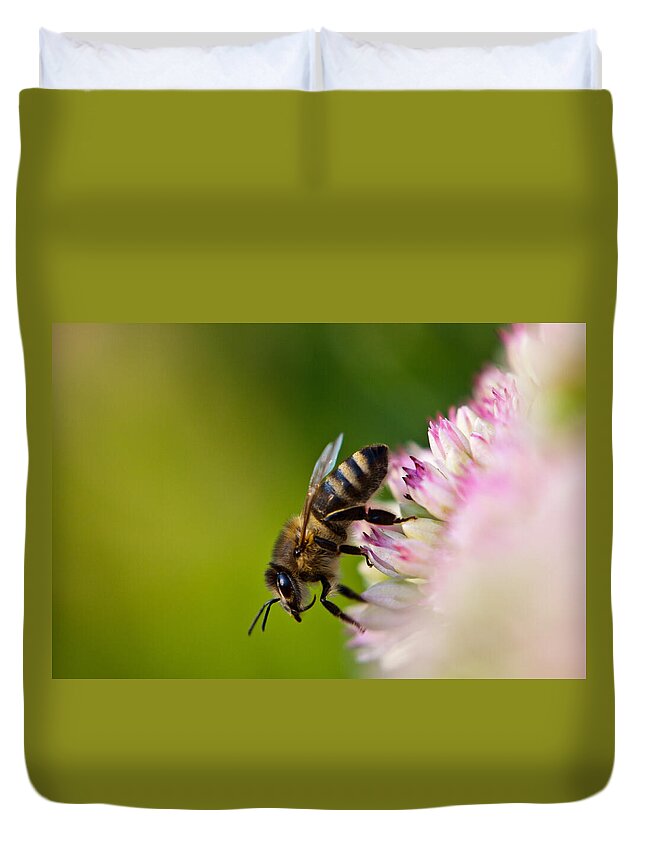 Animal Duvet Cover featuring the photograph Bee Sitting on a Flower by John Wadleigh