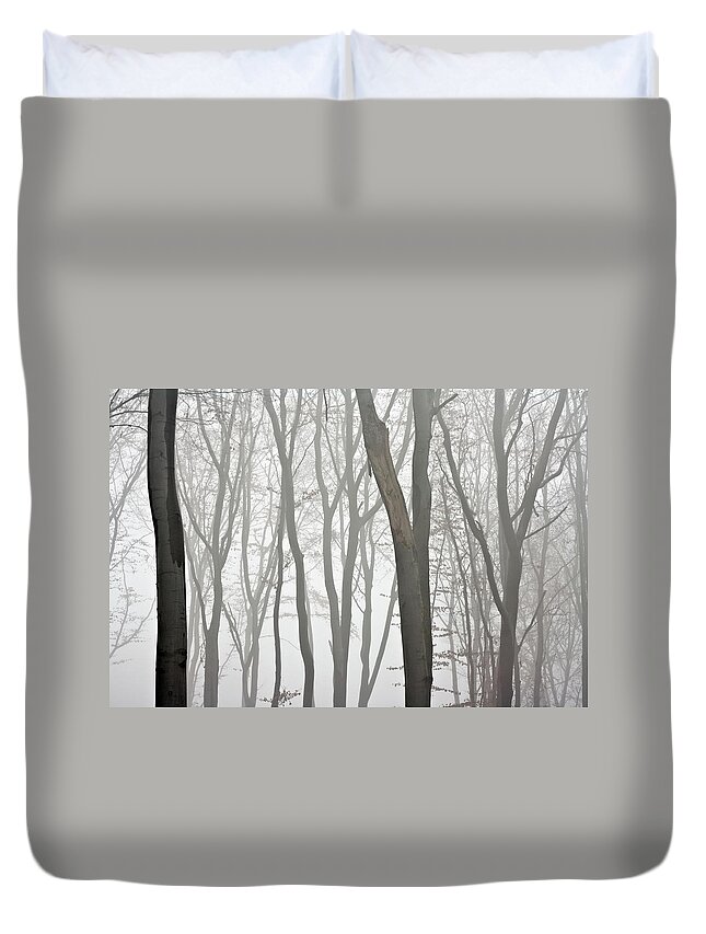 Scenics Duvet Cover featuring the photograph Beech Forest by Vidok