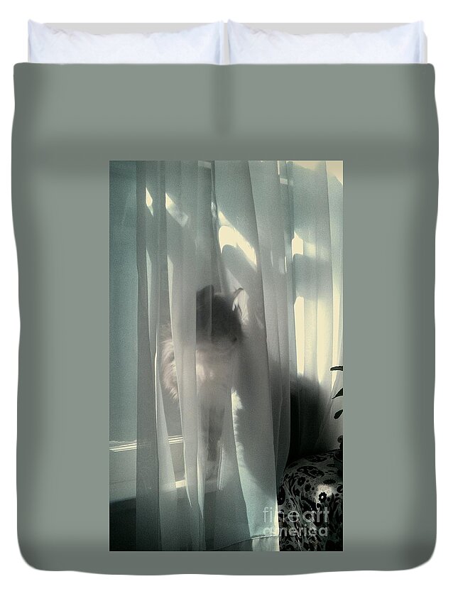 Maine Coon Duvet Cover featuring the photograph Behind The Curtain by Jacqueline McReynolds