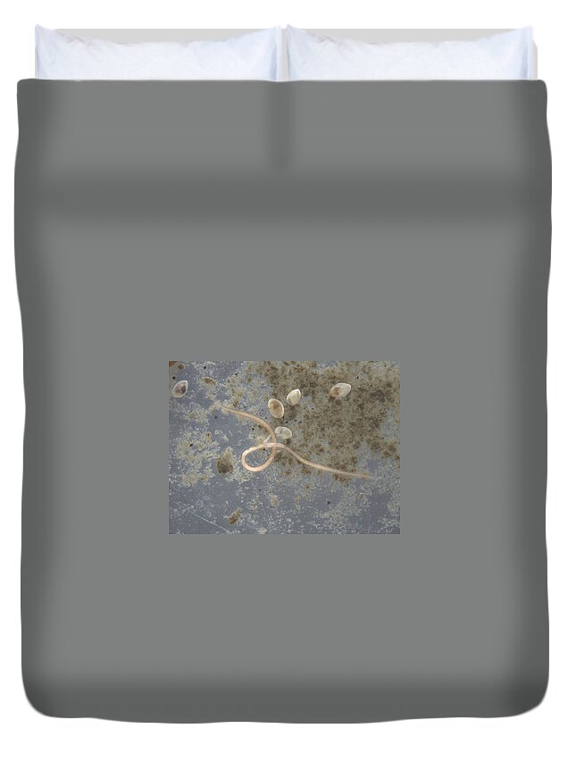 Benthic Organisms Duvet Cover featuring the photograph Bering Sea Mud Organisms by Carleton Ray
