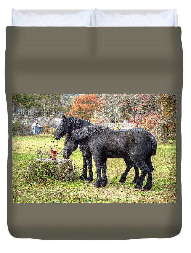 Horse Duvet Cover featuring the photograph Best Friends by Donna Doherty