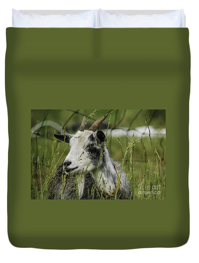 Agriculture Duvet Cover featuring the photograph Betsy by Mary Carol Story