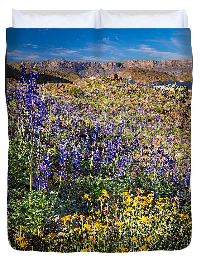 America Duvet Cover featuring the photograph Big Bend Flowers by Inge Johnsson
