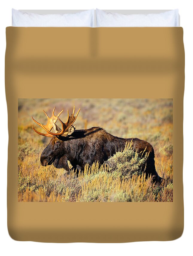 Moose Duvet Cover featuring the photograph Big Boy by Greg Norrell