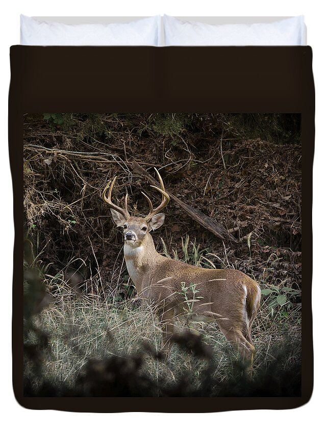 White Tail Duvet Cover featuring the photograph Big Buck by John Johnson