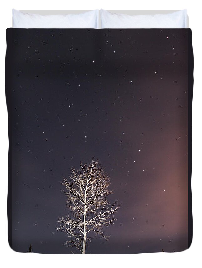Constellation Duvet Cover featuring the photograph Big Dipper In The Night Sky With A Lone by Susan Dykstra / Design Pics
