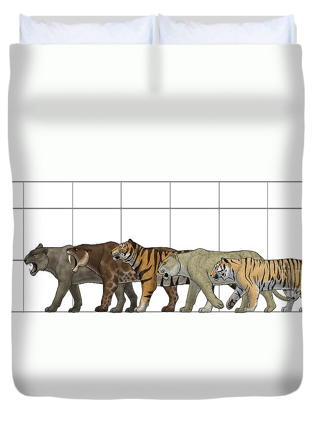 Big Felines Size Chart Duvet Cover For Sale By Vitor Silva
