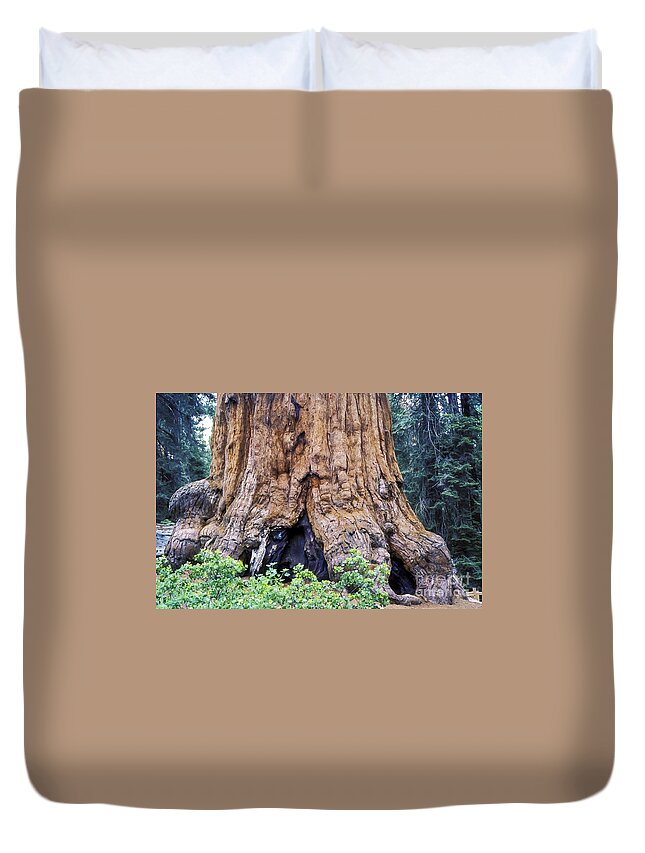 General Sherman Sequoia Trees Kings Canyon National Park California Parks Landmark Landmarks Tree Trunk Trunks Duvet Cover featuring the photograph Big Foot Toes by Bob Phillips