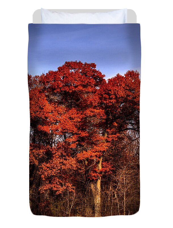 Fall Duvet Cover featuring the photograph Big Red by Thomas Young
