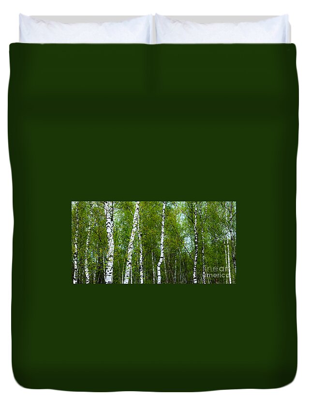 Birch Duvet Cover featuring the photograph Birch Forest by Hannes Cmarits
