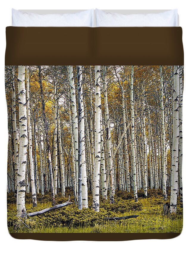 Forest Duvet Cover featuring the photograph Aspen Trees in Autumn by Randall Nyhof