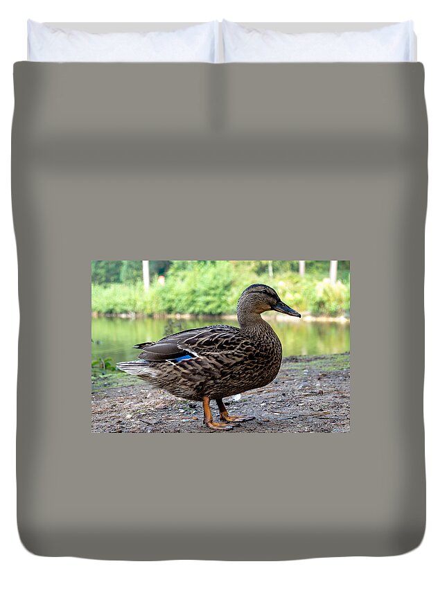 Bird Duvet Cover featuring the photograph Bird - Gadwall Duck Profile by Scott Lyons