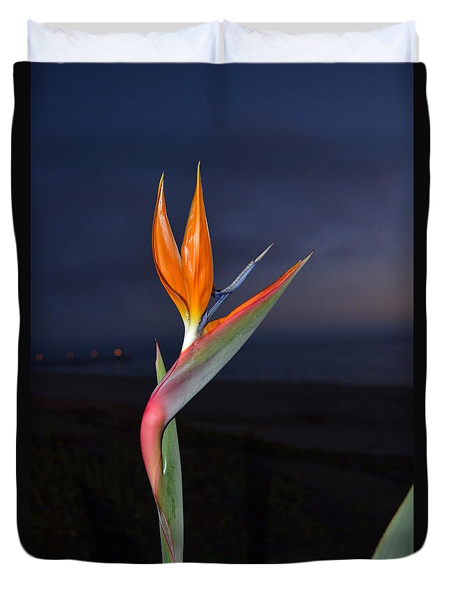Bird Of Paradise Duvet Cover featuring the photograph Bird of Paradise at Night by Debra Thompson