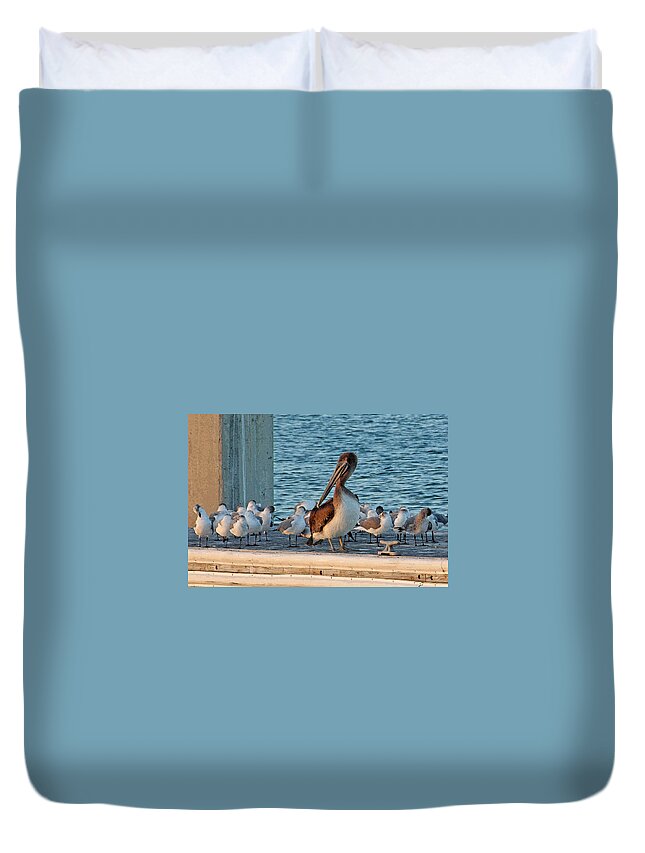 Brown Pelican Duvet Cover featuring the photograph Birds - Among Friends by HH Photography of Florida