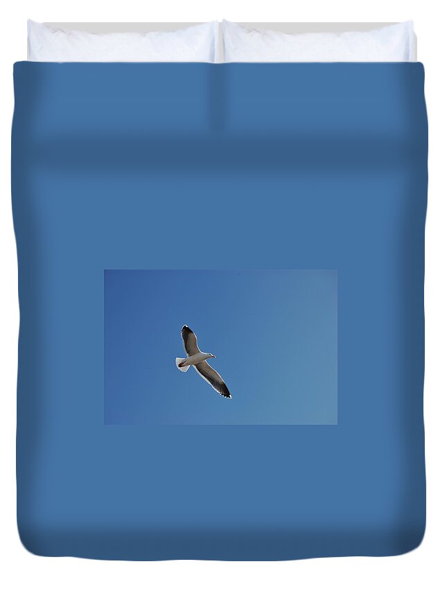 Seagull Duvet Cover featuring the photograph Birds Eye View by Christopher James