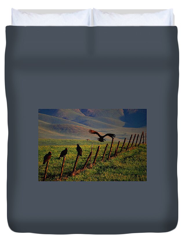 Birds Duvet Cover featuring the photograph Birds on a Fence by Matt Quest