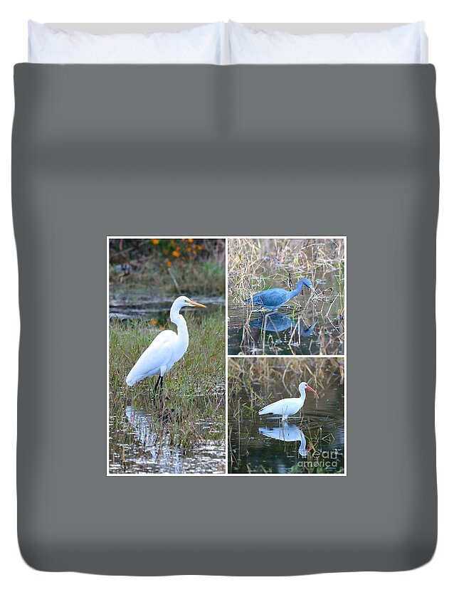 Great Egret Duvet Cover featuring the photograph Birds on Pond Collage by Carol Groenen
