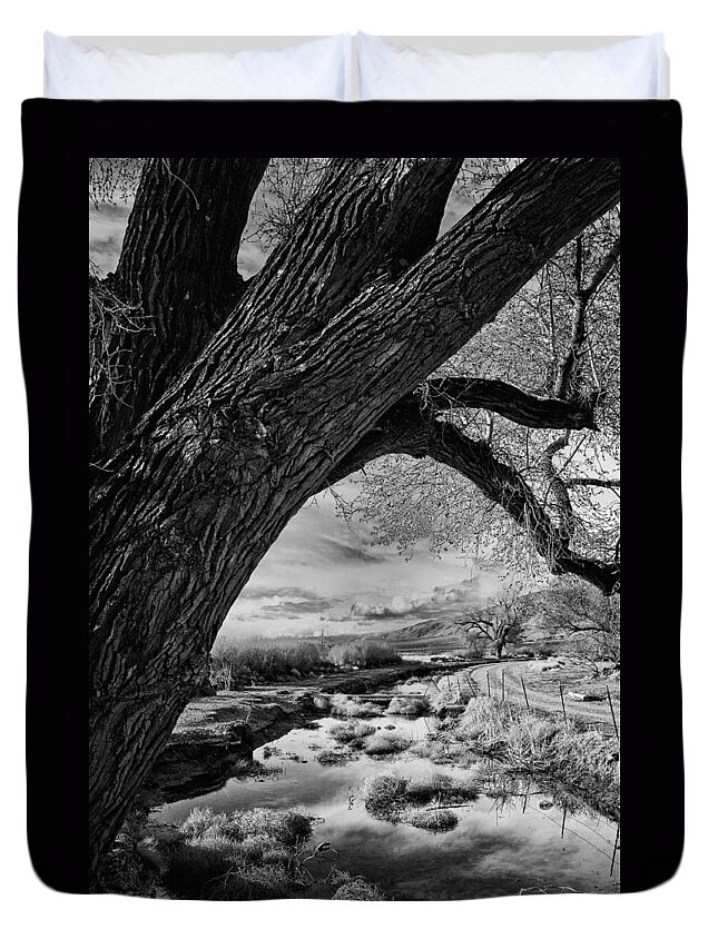 Water Duvet Cover featuring the photograph Bishop Canals by Cat Connor