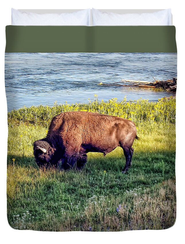Bison Duvet Cover featuring the photograph Bison 4 by Dawn Eshelman