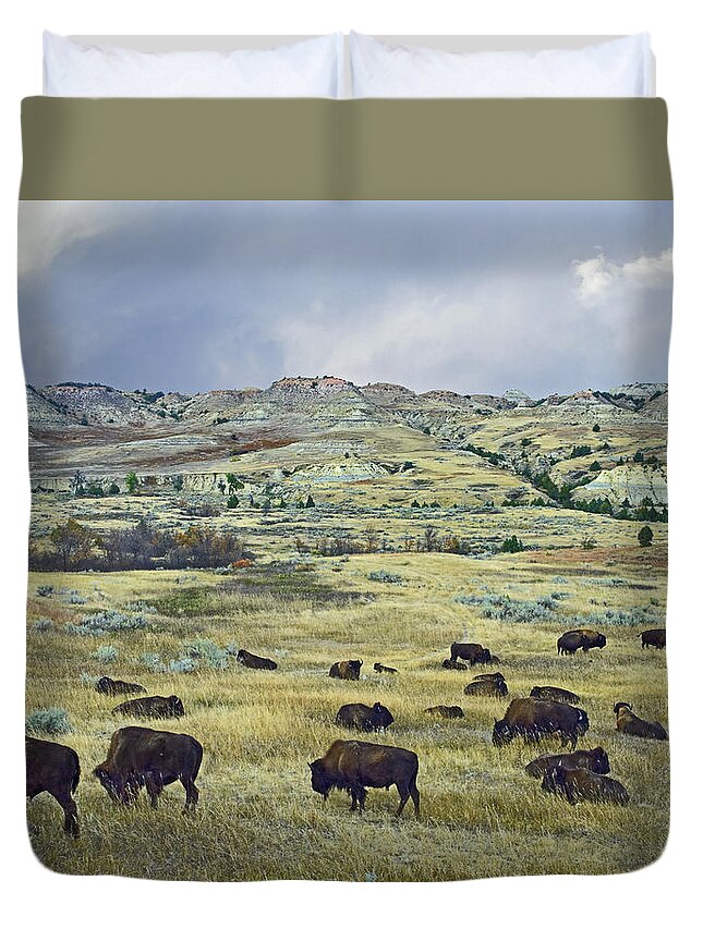 Feb0514 Duvet Cover featuring the photograph Bison Herd On Praire Theodore Roosevelt by Tim Fitzharris