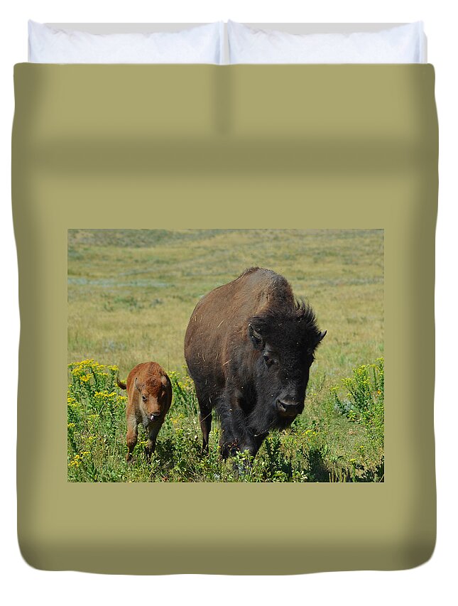 Dakota Duvet Cover featuring the photograph Bison Mother and Calf by Greni Graph