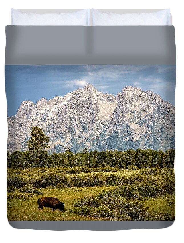 Tranquility Duvet Cover featuring the photograph Bison On The Plain by Roberta Przybylski