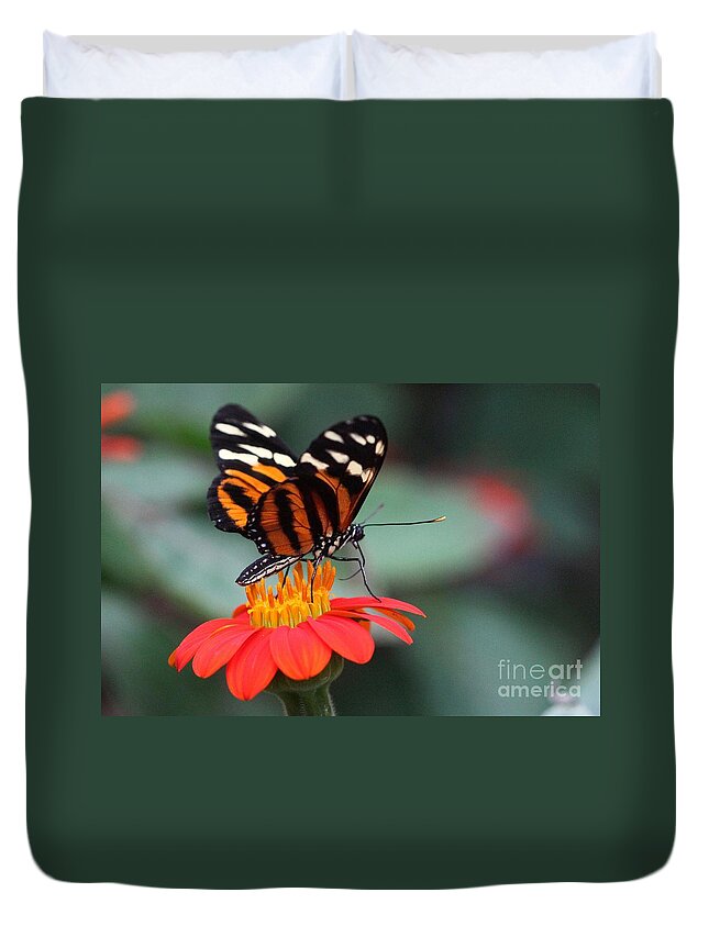 Butterfly Duvet Cover featuring the photograph Black and Brown Butterfly on a Red Flower by Jeremy Hayden