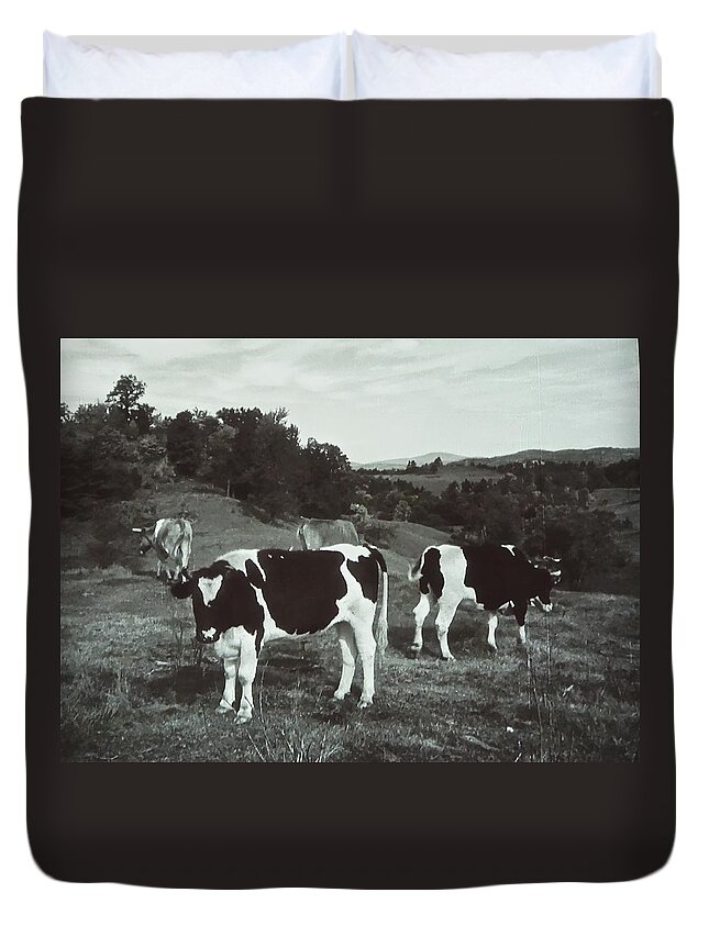 Black And White Photograph Duvet Cover featuring the photograph Black and White Cows by Joan Reese