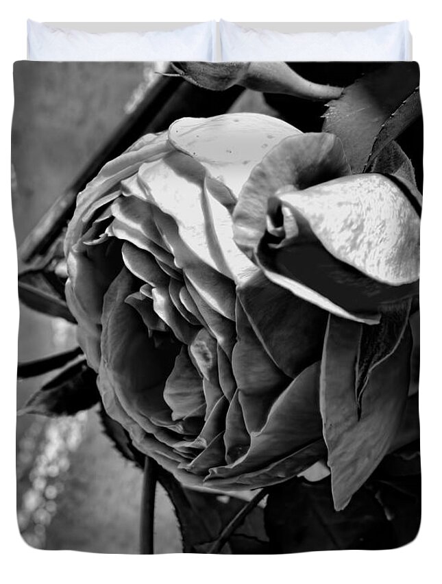 Black And White Duvet Cover featuring the photograph Black and white monochrome pink rose in half profile by Leif Sohlman