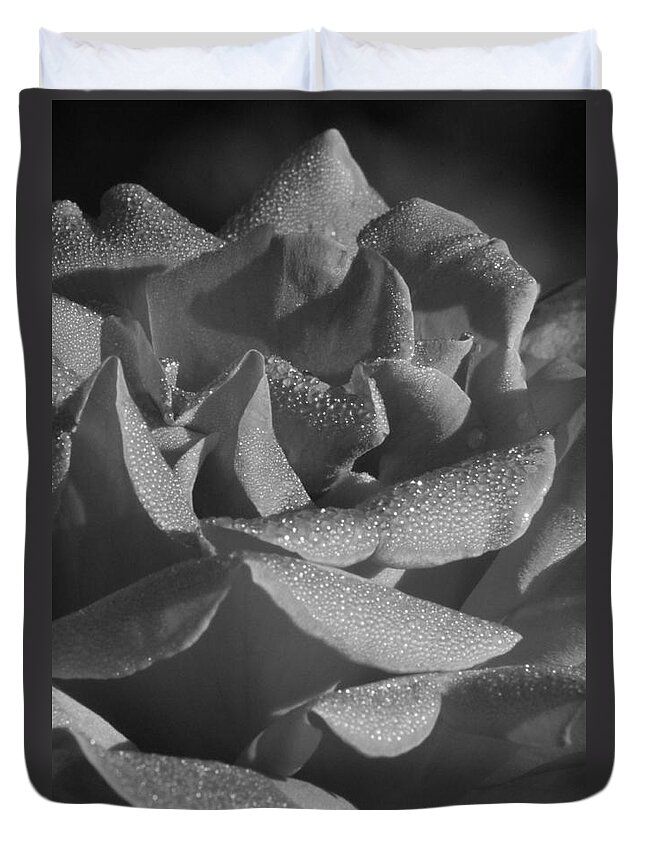 Black And White Duvet Cover featuring the photograph Black and White morning rose by Jennifer E Doll