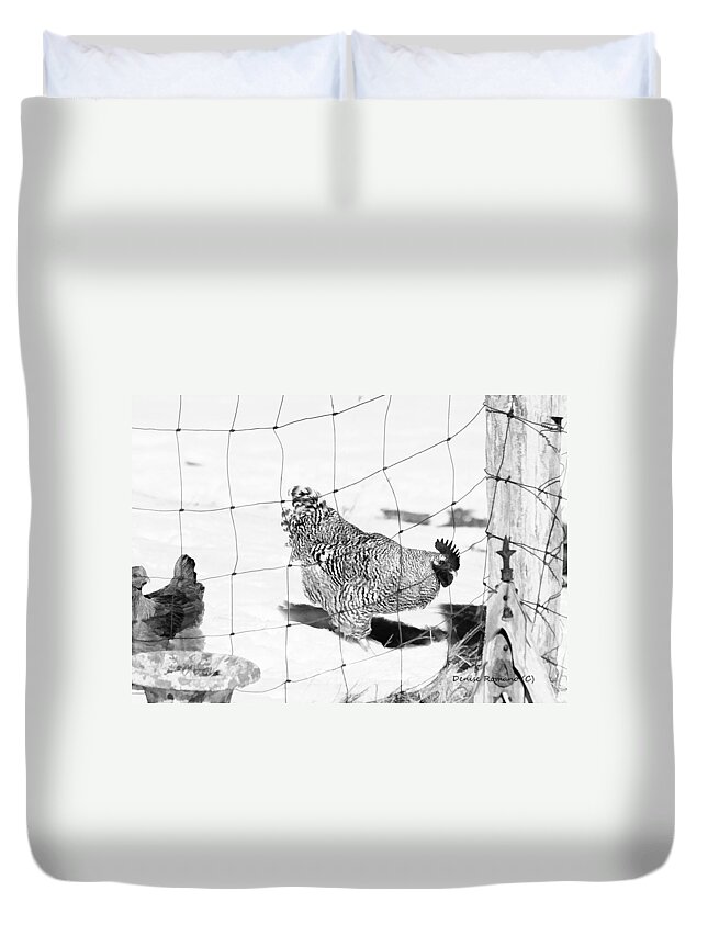 Black Duvet Cover featuring the photograph Black and White Rooster by Denise Romano