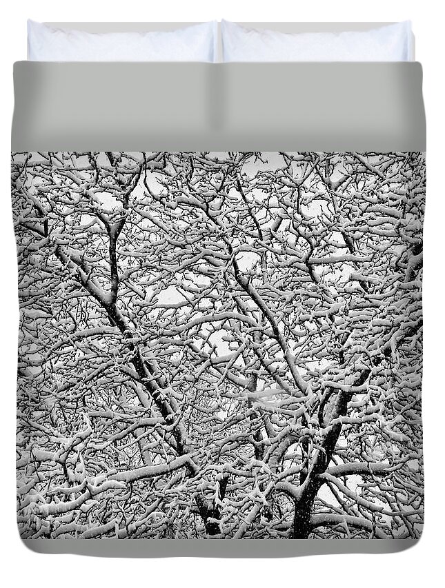 Winter Duvet Cover featuring the photograph Black and White Snowy Tree Abstract by James BO Insogna