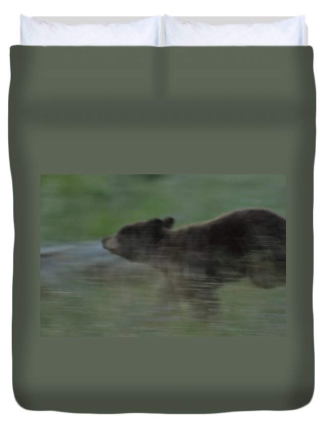 Black Bear Duvet Cover featuring the photograph Black Bear Cub by Frank Madia