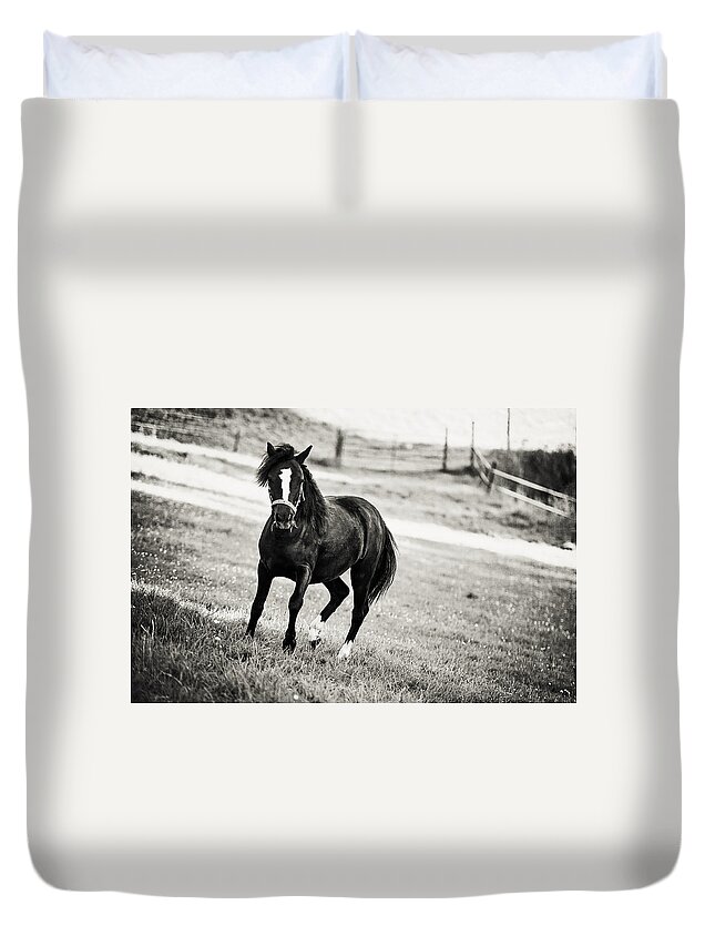 Horse Duvet Cover featuring the photograph Black Beauty by Jenny Rainbow