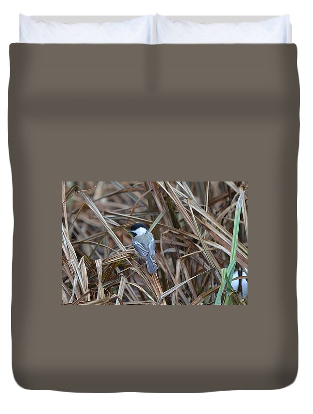 Black-capped Chickadee Duvet Cover featuring the photograph Black-capped Chickadee by James Petersen
