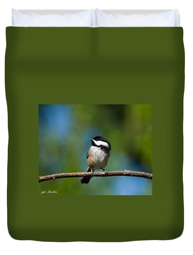 Animal Duvet Cover featuring the photograph Black Capped Chickadee Perched on a Branch by Jeff Goulden