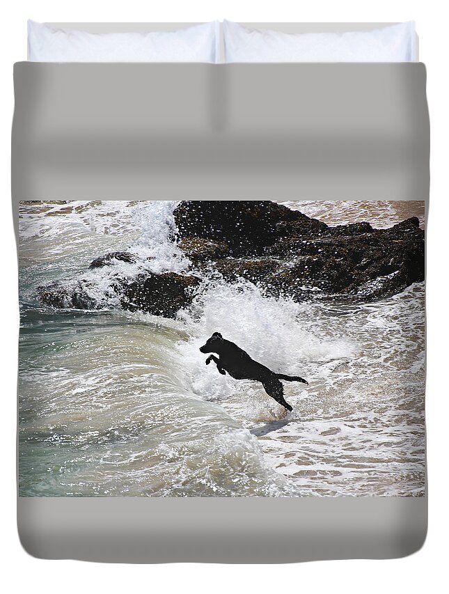 Dog Duvet Cover featuring the photograph Black Dog by Tom Conway