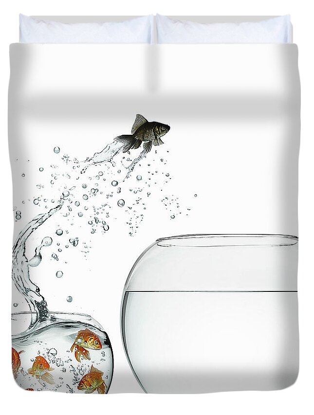 Pets Duvet Cover featuring the photograph Black Goldfish by Gandee Vasan