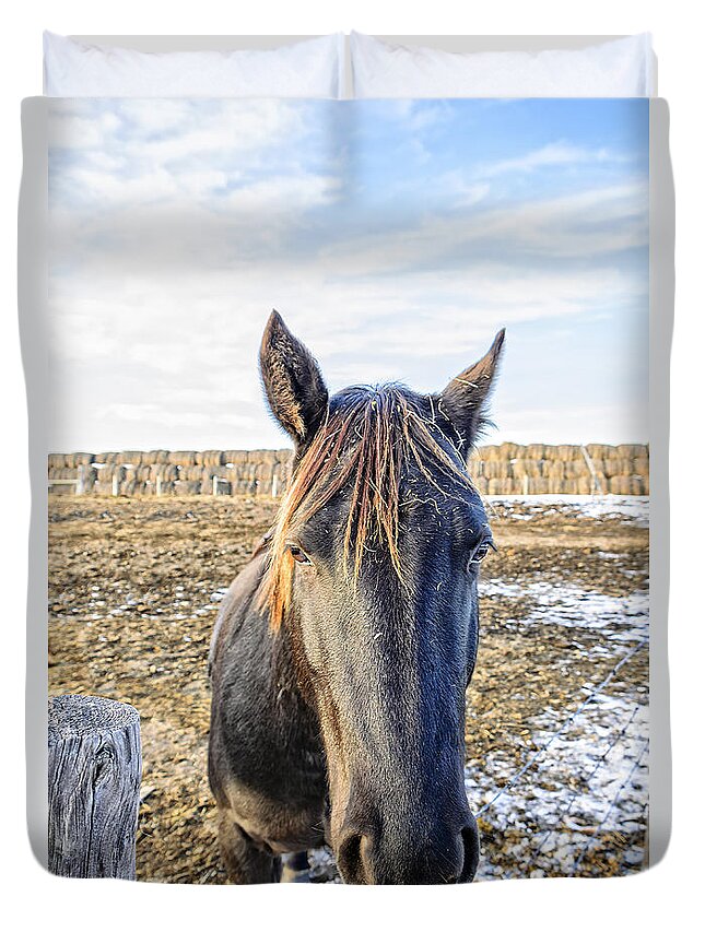 Horse Duvet Cover featuring the photograph Black horse by Viktor Birkus