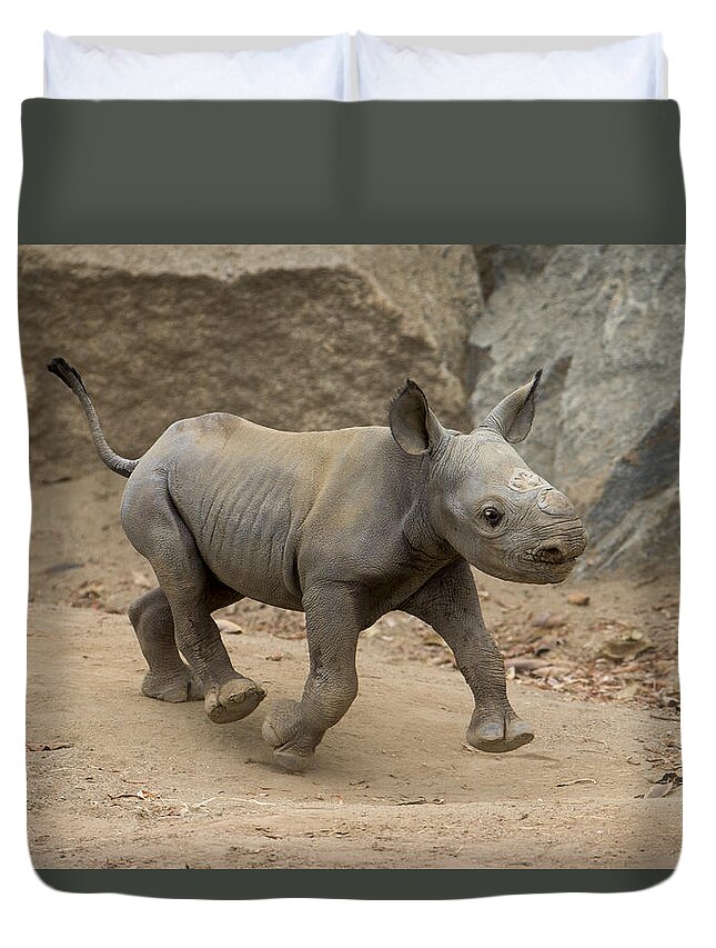 San Diego Zoo Duvet Cover featuring the photograph Black Rhinoceros Calf Running by San Diego Zoo