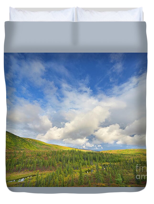 00431045 Duvet Cover featuring the photograph Black Spruce on Fall Tundra by Yva Momatiuk John Eastcott