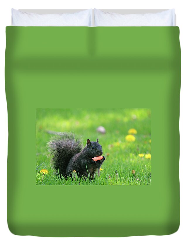 Black Color Duvet Cover featuring the photograph Black Squirrel by David R. Tyner